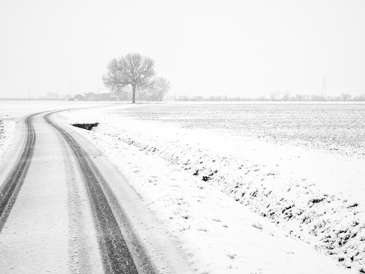 White Via Rosa | Via Rosa bianca | Witte Via&nbsp;Rosa