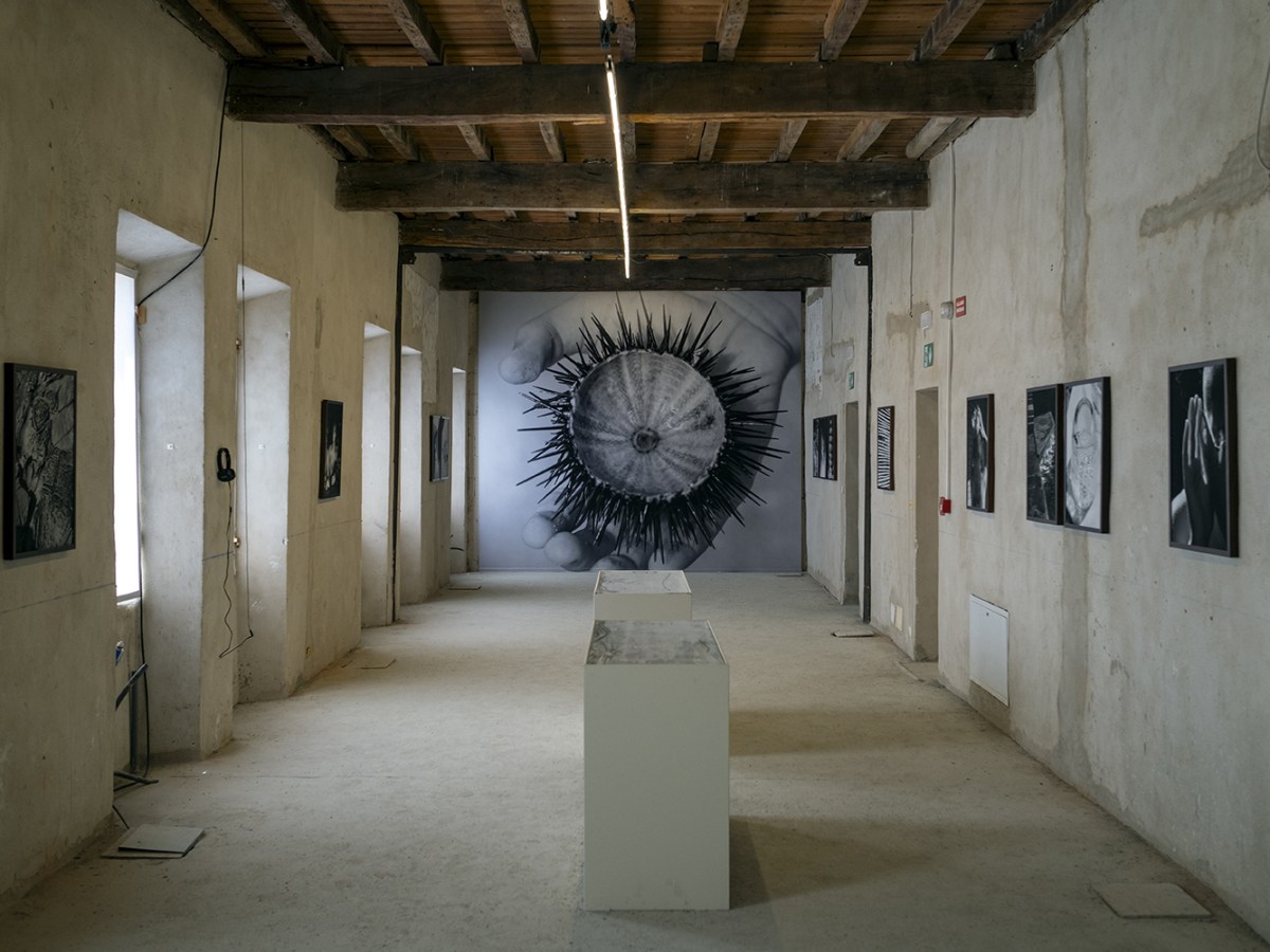 Pictures at an exhibition: “Fotografia Europea” – Reggio Emilia, Chiostri di San&nbsp;Pietro